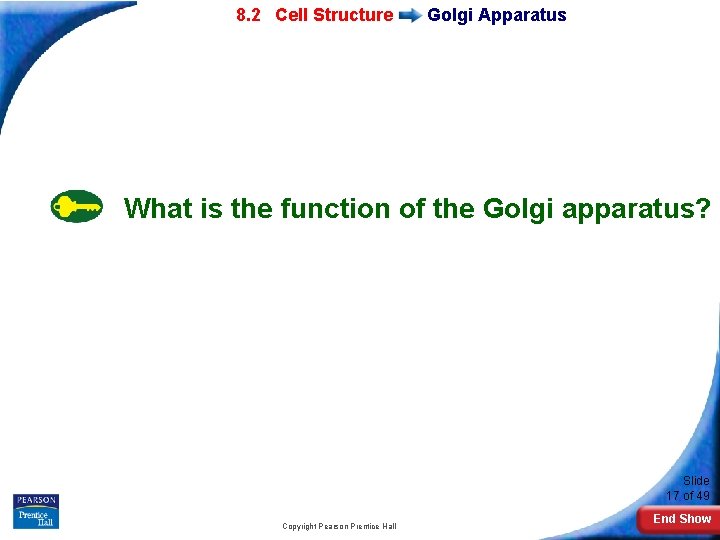 7 -2 Eukaryotic 8. 2 Cell Structure Golgi Apparatus What is the function of