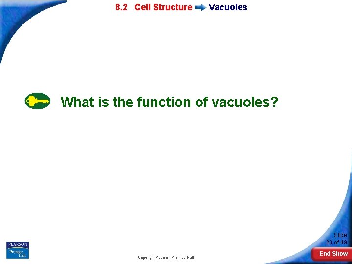 7 -2 Eukaryotic 8. 2 Cell Structure Vacuoles What is the function of vacuoles?