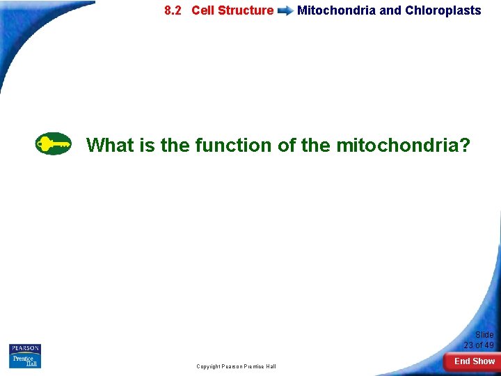 7 -2 Eukaryotic 8. 2 Cell Structure Mitochondria and Chloroplasts What is the function