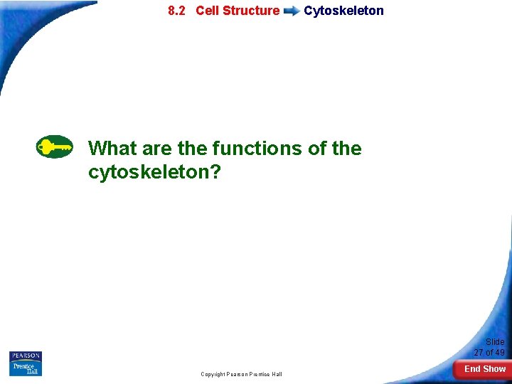 7 -2 Eukaryotic 8. 2 Cell Structure Cytoskeleton What are the functions of the