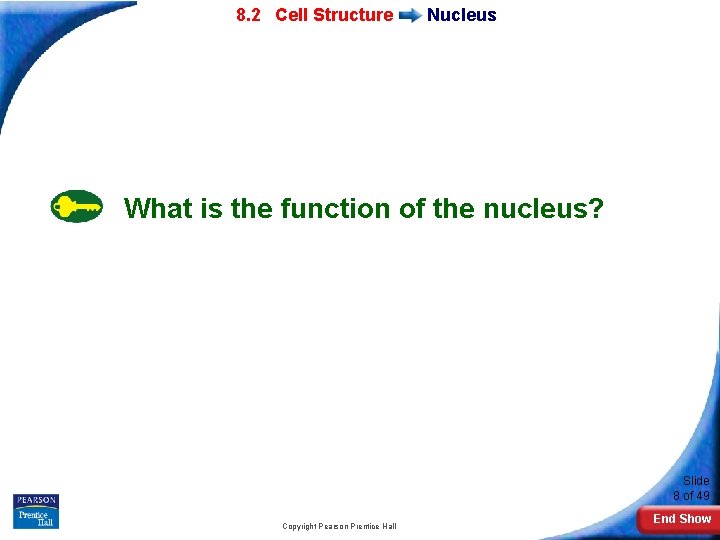 7 -2 Eukaryotic 8. 2 Cell Structure Nucleus What is the function of the