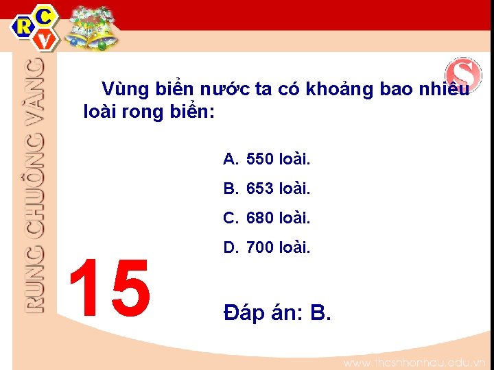 Vùng biển nước ta có khoảng bao nhiêu loài rong biển: A. 550 loài. Vùng biển nước ta có khoảng bao nhiêu loài rong biển: A. 550 loài.