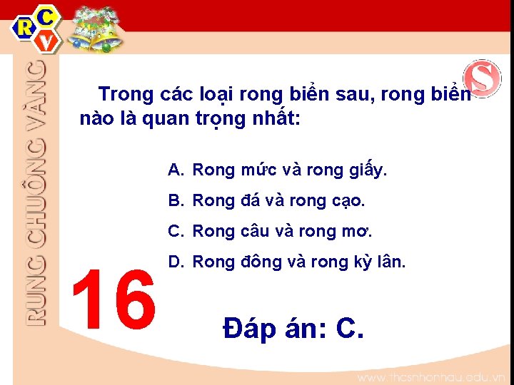 Trong các loại rong biển sau, rong biển nào là quan trọng nhất: A. Trong các loại rong biển sau, rong biển nào là quan trọng nhất: A.