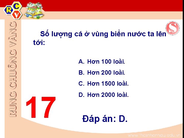 Số lượng cá ở vùng biển nước ta lên tới: A. Hơn 100 loài. Số lượng cá ở vùng biển nước ta lên tới: A. Hơn 100 loài.
