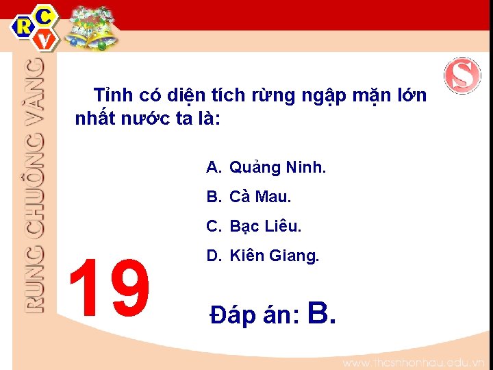 Tỉnh có diện tích rừng ngập mặn lớn nhất nước ta là: A. Quảng Tỉnh có diện tích rừng ngập mặn lớn nhất nước ta là: A. Quảng