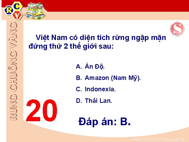 Việt Nam có diện tích rừng ngập mặn đứng thứ 2 thế giới sau: Việt Nam có diện tích rừng ngập mặn đứng thứ 2 thế giới sau: