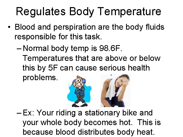 Regulates Body Temperature • Blood and perspiration are the body fluids responsible for this