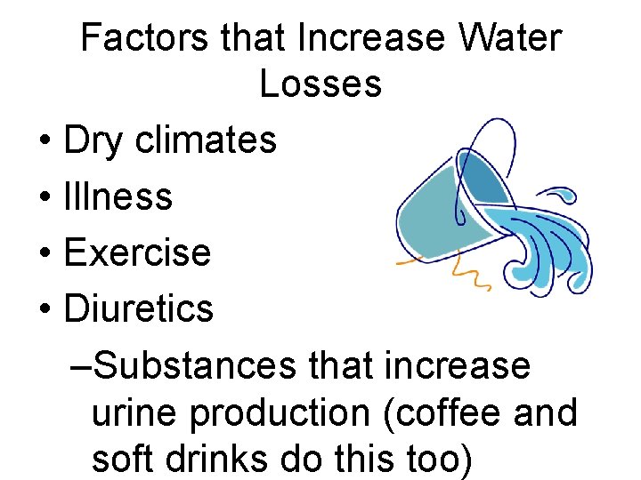 Factors that Increase Water Losses • Dry climates • Illness • Exercise • Diuretics