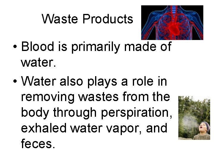 Waste Products • Blood is primarily made of water. • Water also plays a