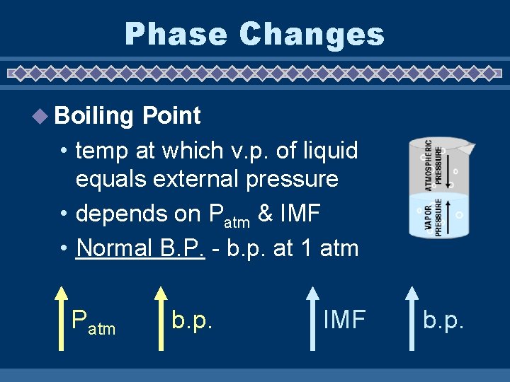 Phase Changes u Boiling Point • temp at which v. p. of liquid equals
