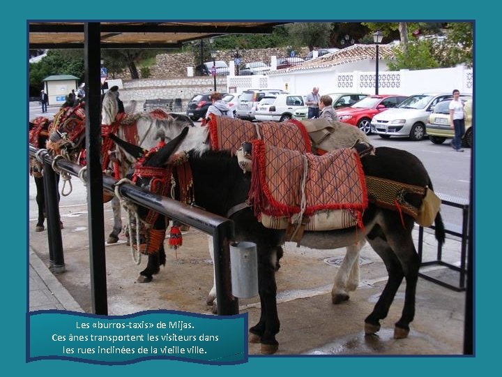 Les «burros-taxis» de Mijas. Ces ânes transportent les visiteurs dans les rues inclinées de