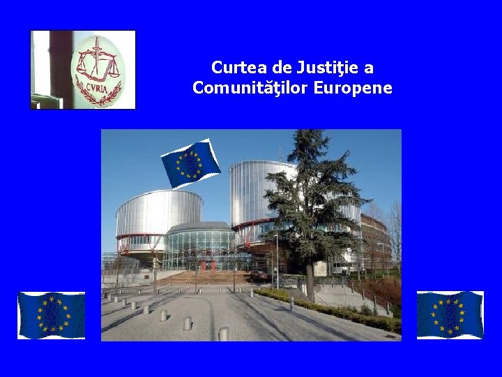 Curtea de Justiţie a Comunităţilor Europene 