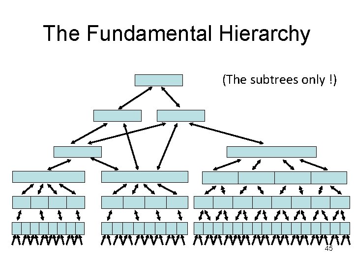 The Fundamental Hierarchy (The subtrees only !) 45 