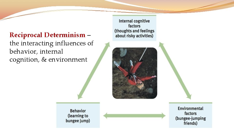 Reciprocal Determinism – the interacting influences of behavior, internal cognition, & environment 