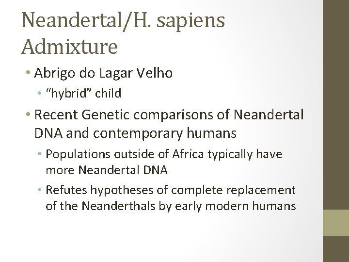 Neandertal/H. sapiens Admixture • Abrigo do Lagar Velho • “hybrid” child • Recent Genetic