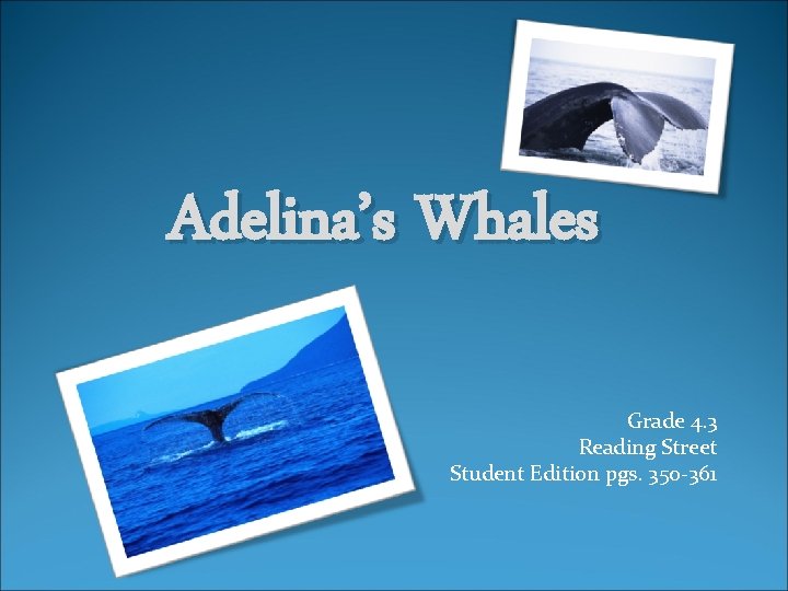 Adelina’s Whales Grade 4. 3 Reading Street Student Edition pgs. 350 -361 