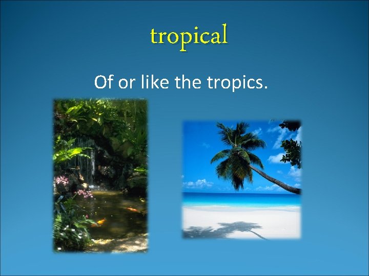 tropical Of or like the tropics. 