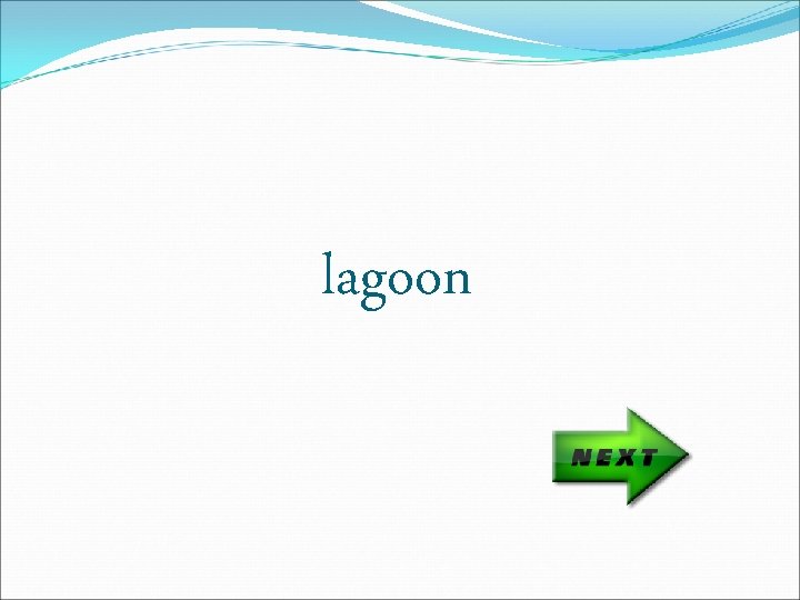 lagoon 