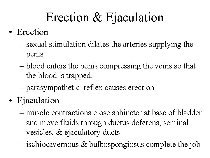 Erection & Ejaculation • Erection – sexual stimulation dilates the arteries supplying the penis