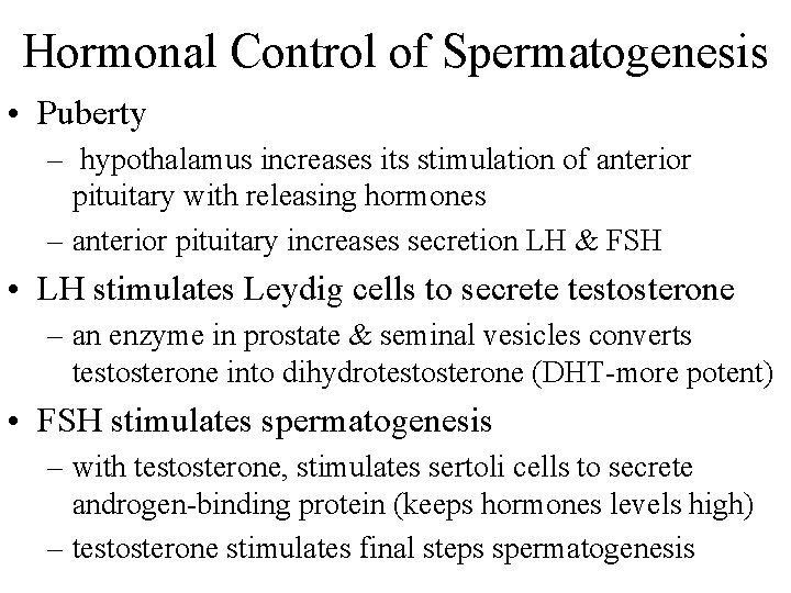 Hormonal Control of Spermatogenesis • Puberty – hypothalamus increases its stimulation of anterior pituitary