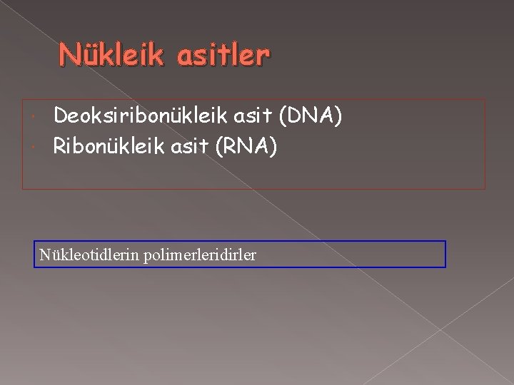 Nükleik asitler Deoksiribonükleik asit (DNA) Ribonükleik asit (RNA) Nükleotidlerin polimerleridirler 