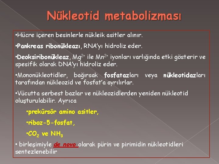 Nükleotid metabolizması • Hücre içeren besinlerle nükleik asitler alınır. • Pankreas ribonükleazı, RNA’yı hidroliz