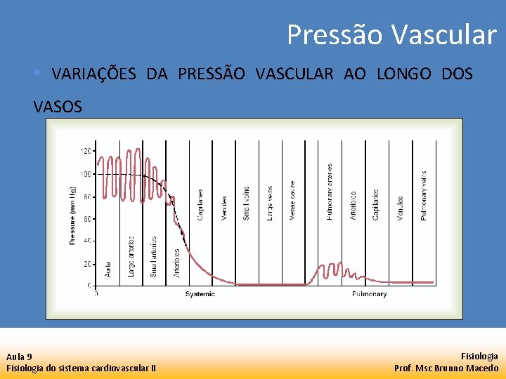 Pressão Vascular § VARIAÇÕES DA PRESSÃO VASCULAR AO LONGO DOS VASOS Aula 9 Fisiologia