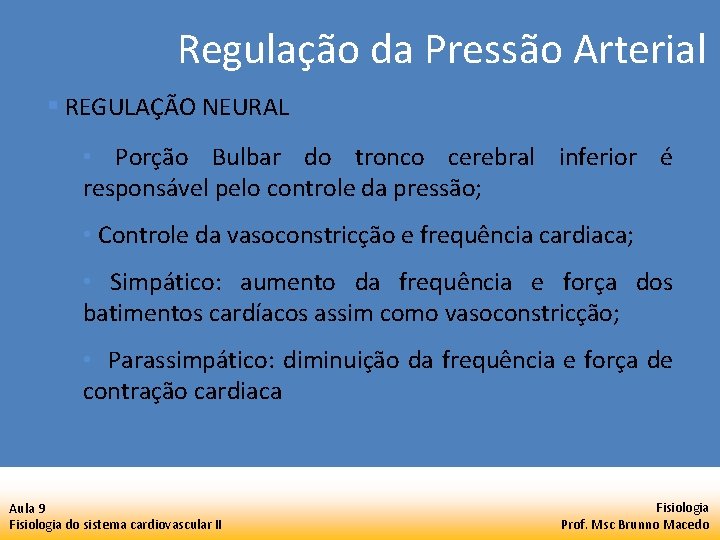 Regulação da Pressão Arterial § REGULAÇÃO NEURAL • Porção Bulbar do tronco cerebral inferior