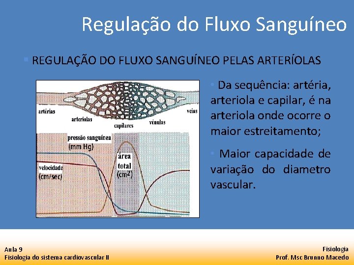 Regulação do Fluxo Sanguíneo § REGULAÇÃO DO FLUXO SANGUÍNEO PELAS ARTERÍOLAS • Da sequência: