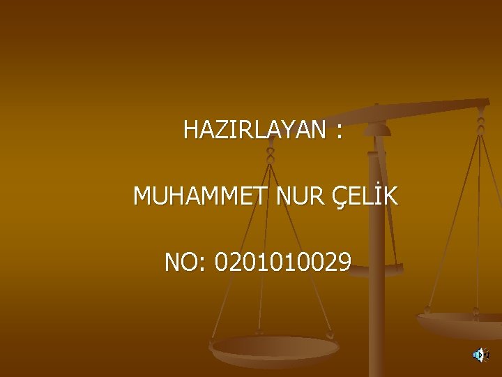 HAZIRLAYAN : MUHAMMET NUR ÇELİK NO: 0201010029 