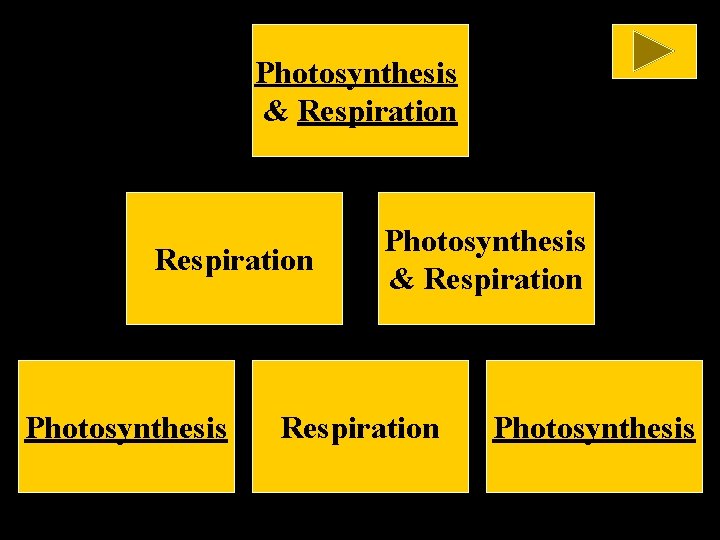 Photosynthesis & Respiration Photosynthesis 