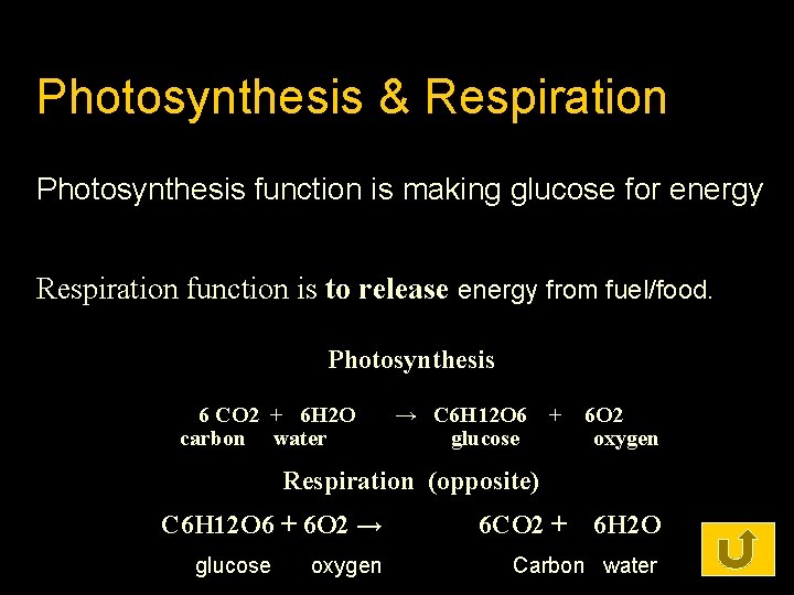 Photosynthesis & Respiration Photosynthesis function is making glucose for energy Respiration function is to