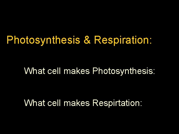 Photosynthesis & Respiration: What cell makes Photosynthesis: What cell makes Respirtation: 