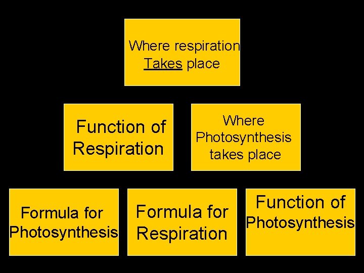 Where respiration $1, 000 Takes place Function $50, 000 of Respiration Where $75, 000