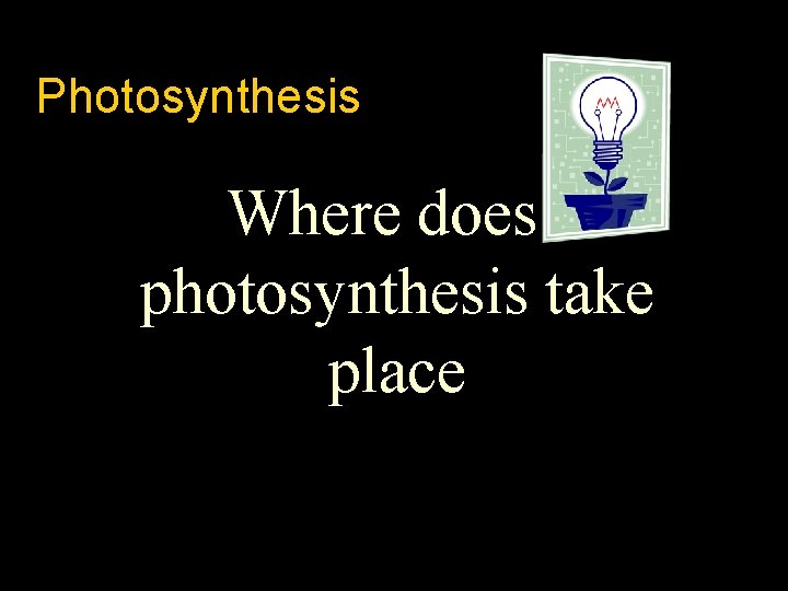 Photosynthesis Where does photosynthesis take place 