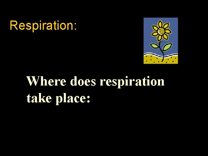 Respiration: Where does respiration take place: 