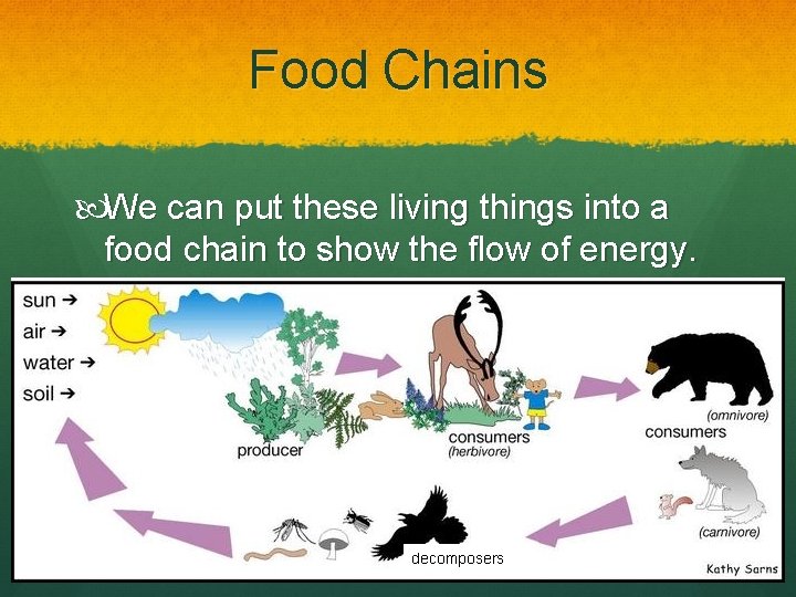 Food Chains We can put these living things into a food chain to show