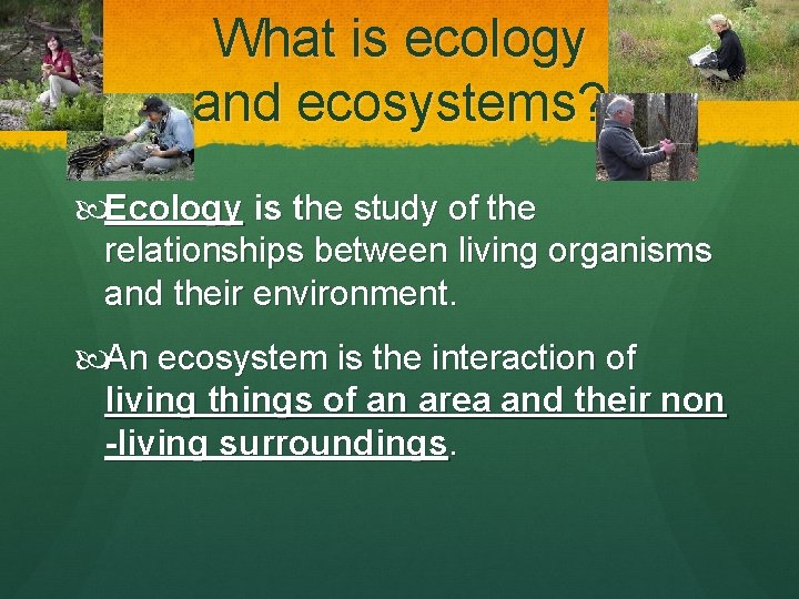 What is ecology and ecosystems? Ecology is the study of the relationships between living