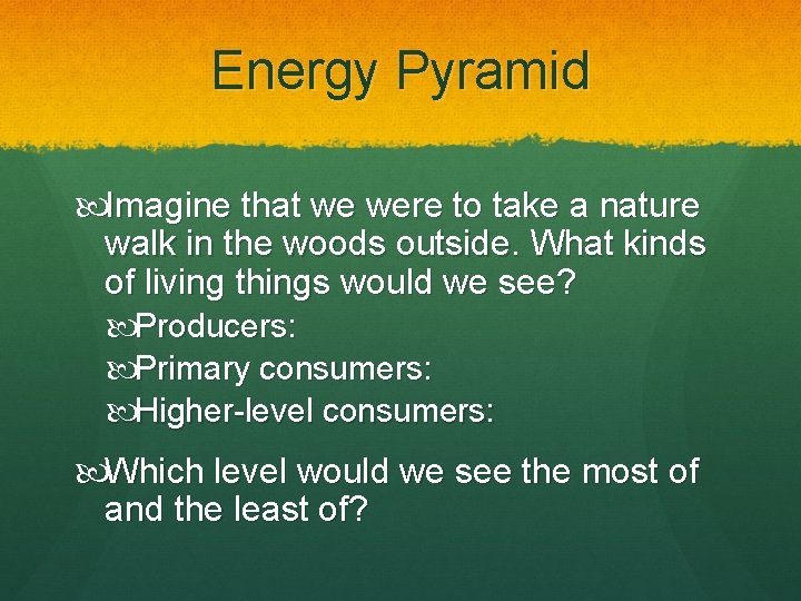 Energy Pyramid Imagine that we were to take a nature walk in the woods