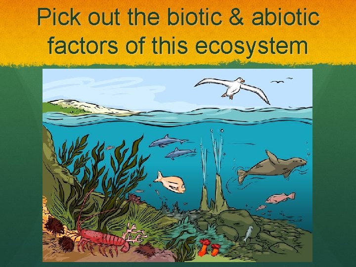 Pick out the biotic & abiotic factors of this ecosystem 