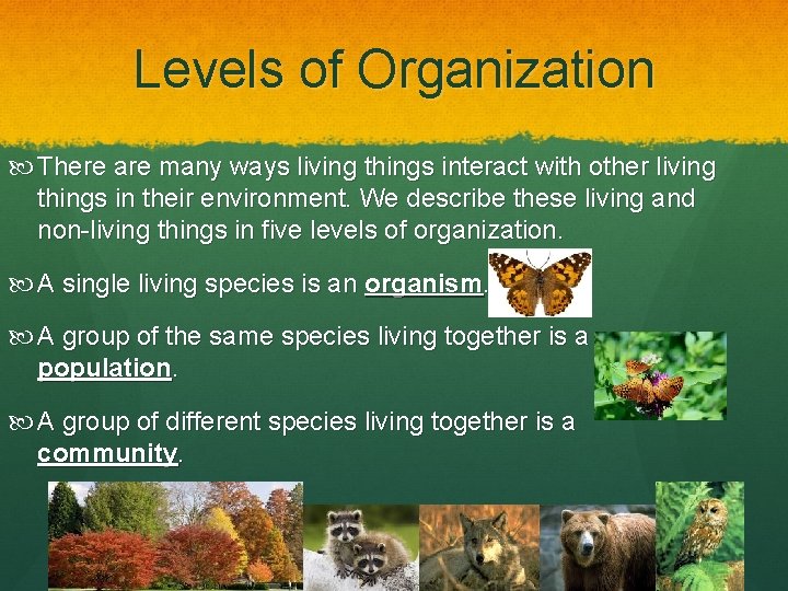 Levels of Organization There are many ways living things interact with other living things