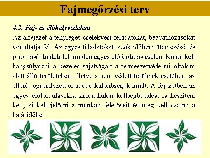 Fajmegőrzési terv 4. 2. Faj- és élőhelyvédelem Az alfejezet a tényleges cselekvési feladatokat, beavatkozásokat Fajmegőrzési terv 4. 2. Faj- és élőhelyvédelem Az alfejezet a tényleges cselekvési feladatokat, beavatkozásokat
