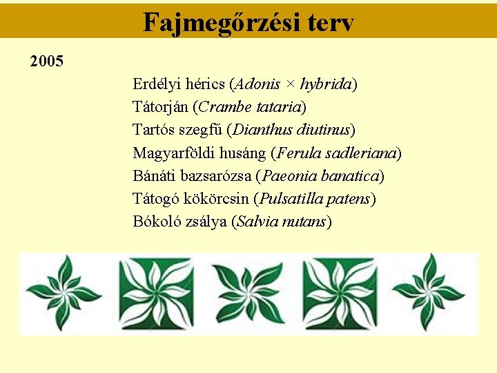 Fajmegőrzési terv 2005 Erdélyi hérics (Adonis × hybrida) Tátorján (Crambe tataria) Tartós szegfű (Dianthus Fajmegőrzési terv 2005 Erdélyi hérics (Adonis × hybrida) Tátorján (Crambe tataria) Tartós szegfű (Dianthus