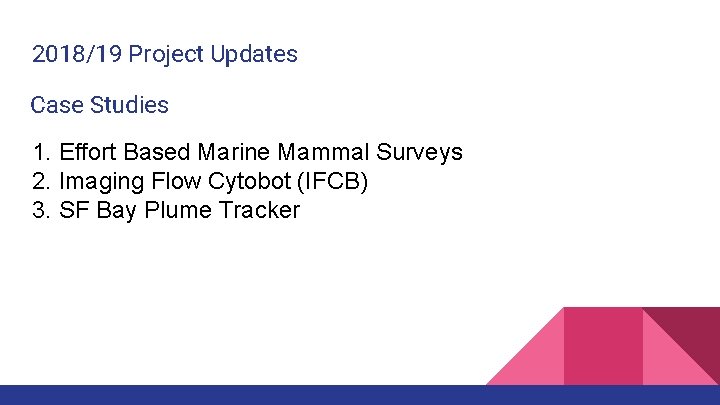 2018/19 Project Updates Case Studies 1. Effort Based Marine Mammal Surveys 2. Imaging Flow