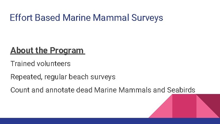 Effort Based Marine Mammal Surveys About the Program Trained volunteers Repeated, regular beach surveys