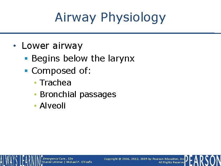 Airway Physiology • Lower airway § Begins below the larynx § Composed of: •