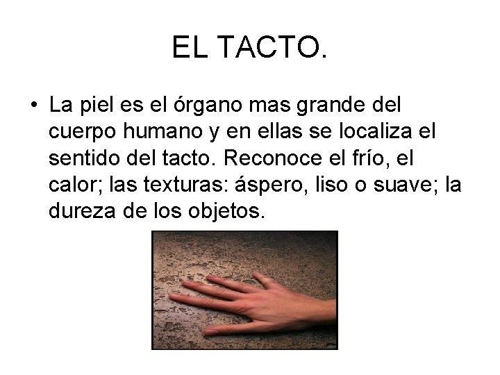 EL TACTO. • La piel es el órgano mas grande del cuerpo humano y