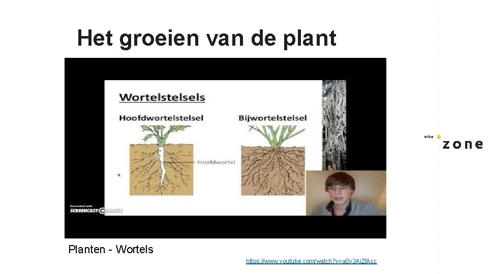 Het groeien van de plant Planten - Wortels https: //www. youtube. com/watch? v=a. Sv