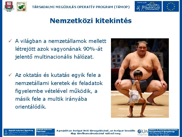 TÁRSADALMI MEGÚJULÁS OPERATÍV PROGRAM (TÁMOP) Nemzetközi kitekintés ü A világban a nemzetállamok mellett létrejött