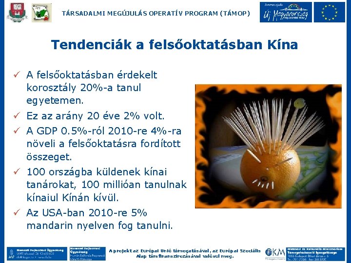 TÁRSADALMI MEGÚJULÁS OPERATÍV PROGRAM (TÁMOP) Tendenciák a felsőoktatásban Kína ü A felsőoktatásban érdekelt korosztály